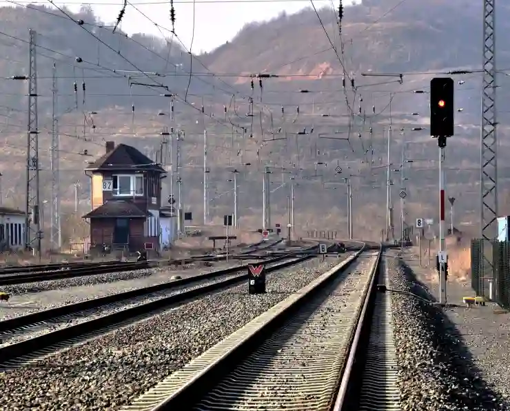 대구삼성라이온즈파크 추천 관람석 총정리