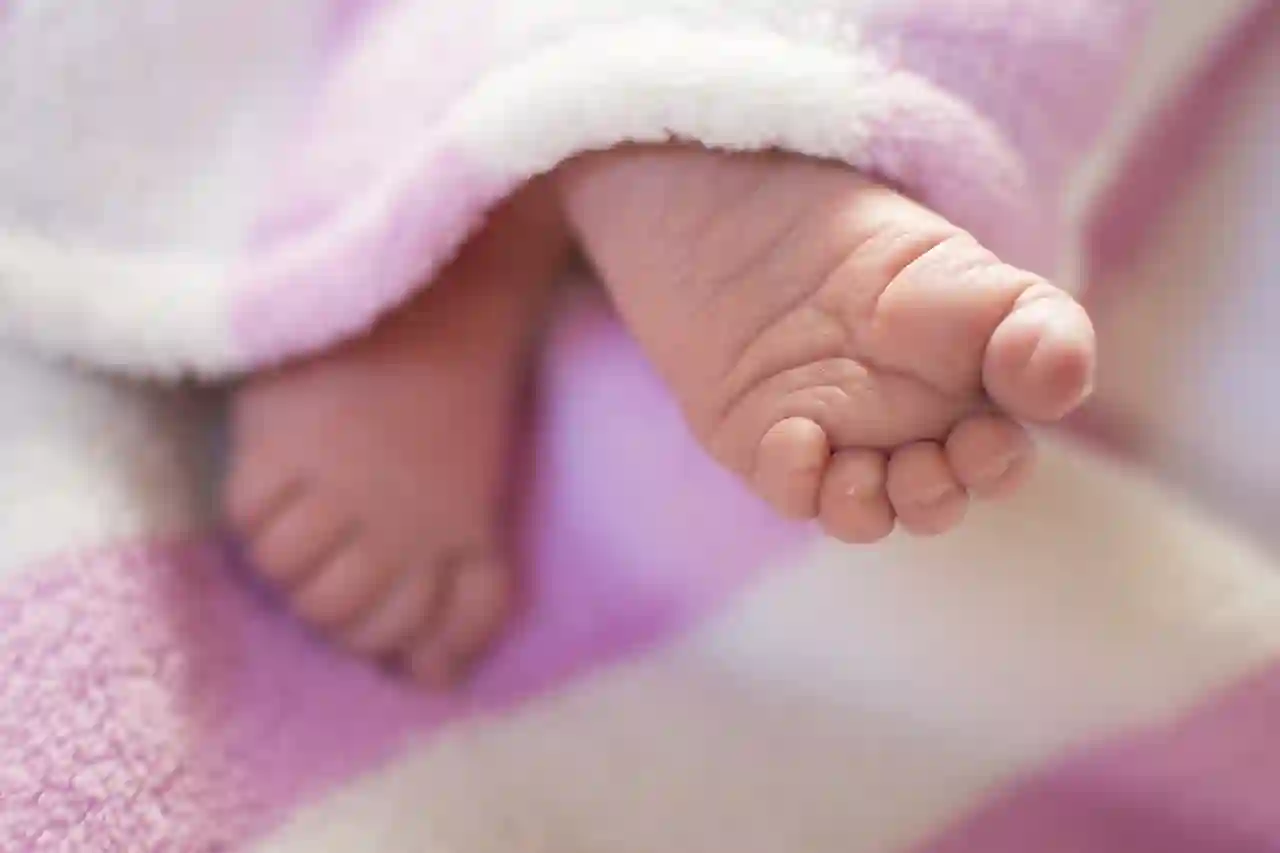 대구삼성라이온즈파크 직관 초보자의 실수 모음