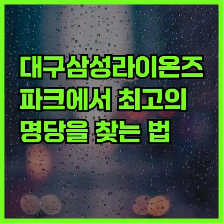 대구삼성라이온즈파크에서 최고의 명당을 찾는 법