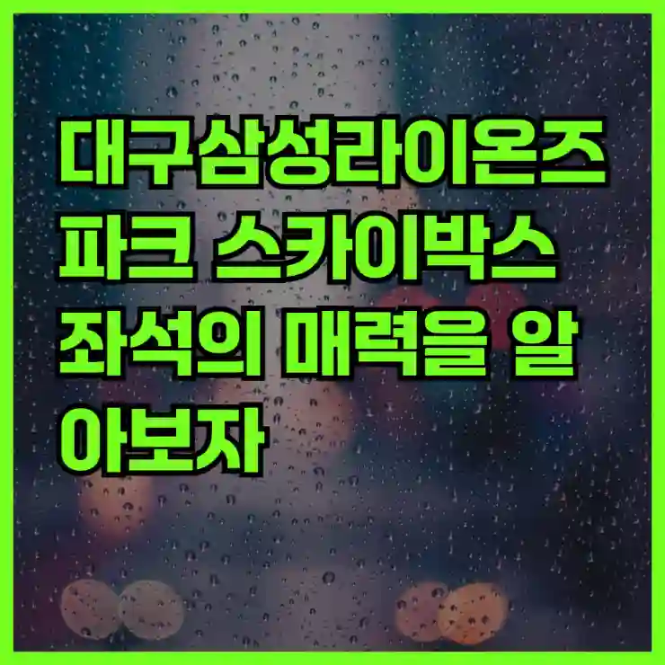 대구삼성라이온즈파크 스카이박스 좌석의 매력을 알아보자