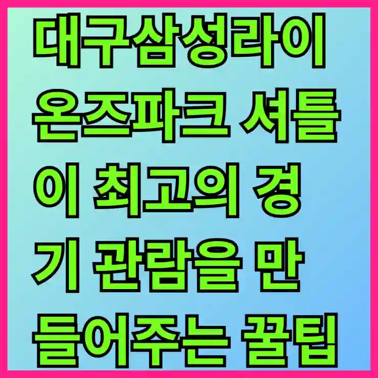 대구삼성라이온즈파크 셔틀이 최고의 경기 관람을 만들어주는 꿀팁 알아보기