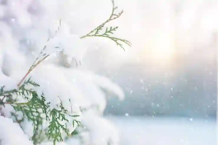 대구삼성라이온즈파크 시즌 일정 완벽 정리 꿀팁과 놓치지 말아야 할 핵심 포인트