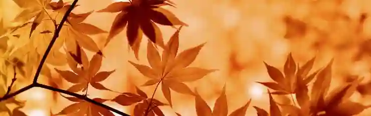 대구삼성라이온즈파크 시즌 첫 홈경기 분위