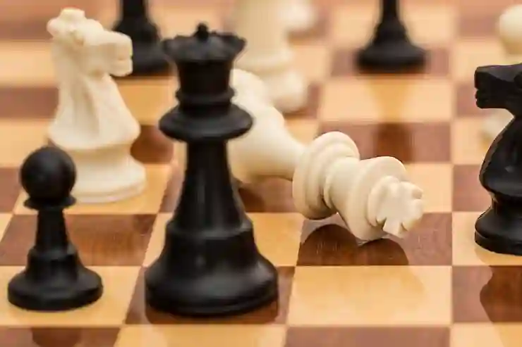 대구삼성라이온즈파크 데이게임 vs 나이트게임