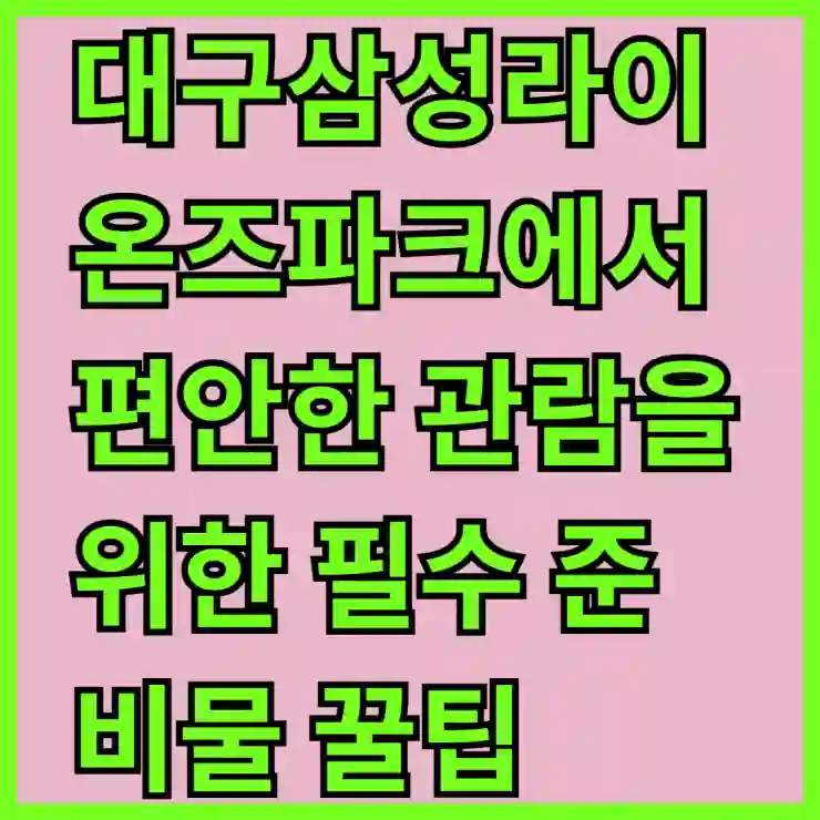 대구삼성라이온즈파크에서 편안한 관람을 위한 필수 준비물 꿀팁