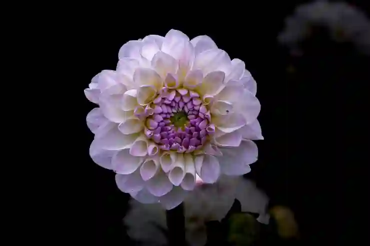 갤럭시 S22와 플러스 울트라 카메라 크기 비교의 모든 것 알아보기