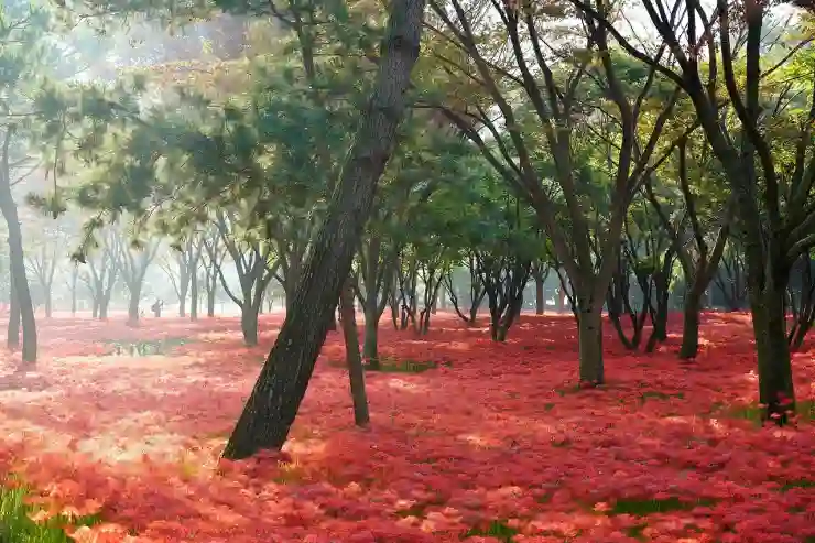 네이버 앱으로 주소록 완벽 동기화하는 비법 알아보기