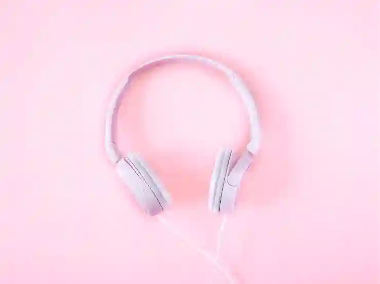 다음팟플레이어와 인코더 쉽게 설치하기!