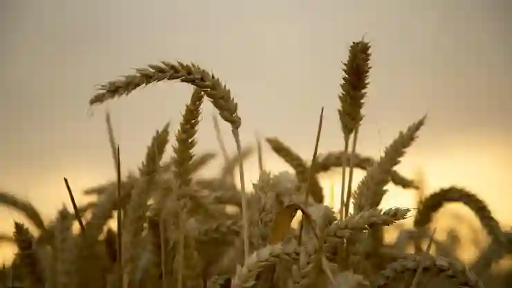 대구삼성라이온즈파크 응원 열기 가득한 좌석의 비밀과 즐기는 방법