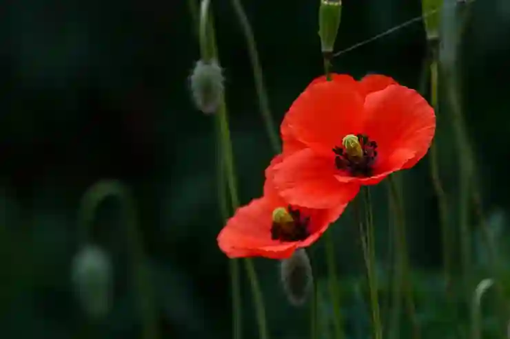 한국 슈퍼카 드 마크로스 에피크 GT1의 탄생 비화 알아보기