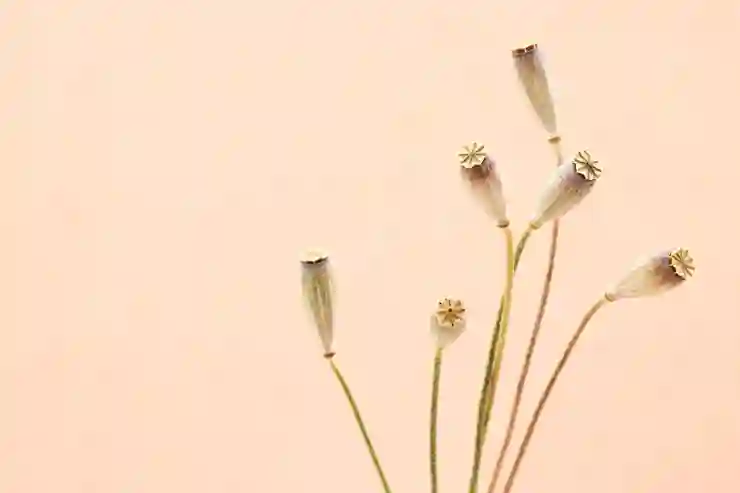 멜론 이용권 해지, PC와 모바일에서 간단하게 하는 법 알아보기
