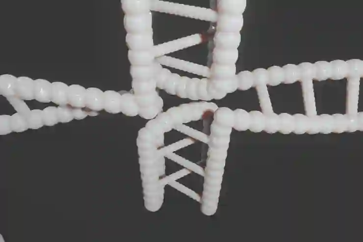DNS와 DDNS의 차이점 및 DHCP의 역할을 알아보자