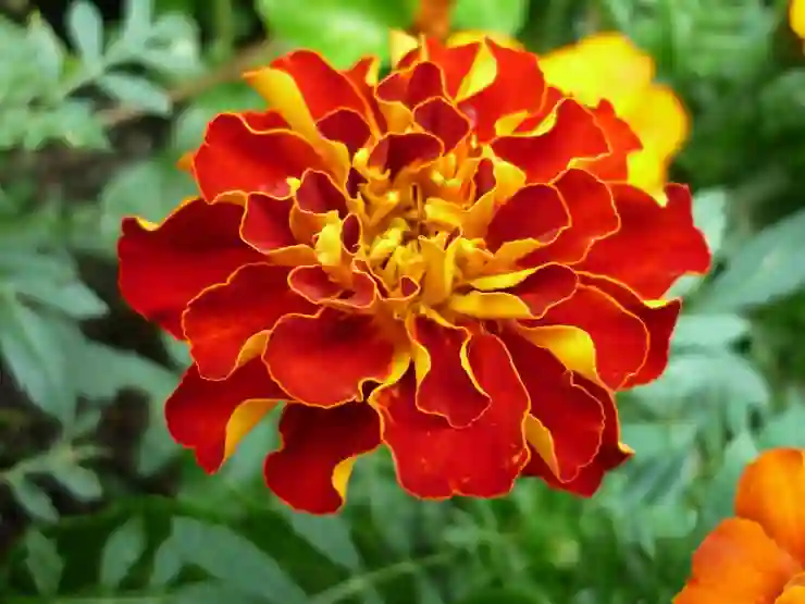 KB리브모바일 요금제 프로모션 살펴보기, 놓치지 마세요!