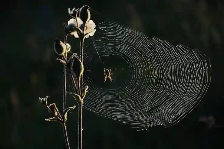 크롬 마이크로소프트엣지 기본 웹 브라우저 설정 방법