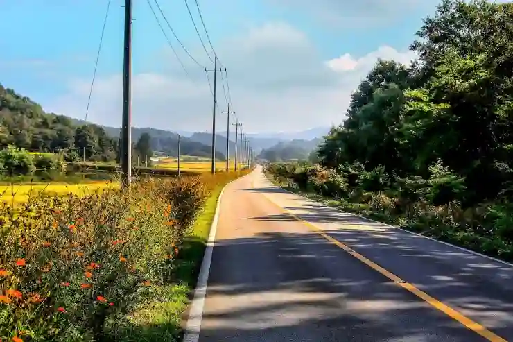 대구삼성라이온즈파크 가는 길 팁 총정리