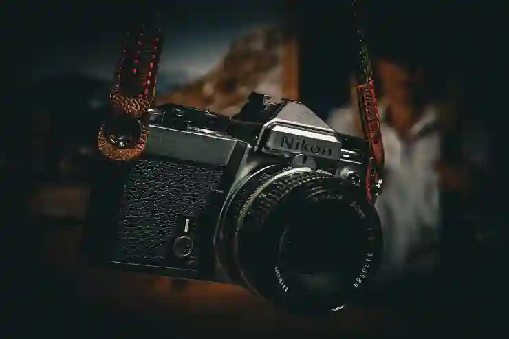 니콘 D3000 입문용 DSLR 카메라 후기