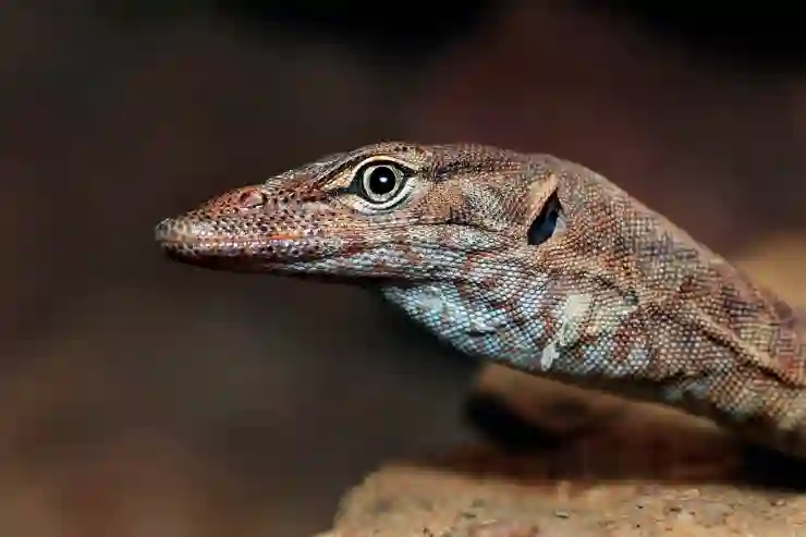 32인치 게이밍 모니터 인터픽셀 IPQ3240 후기