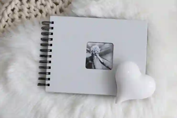 싸이월드 접속 사진첩 복원 방법