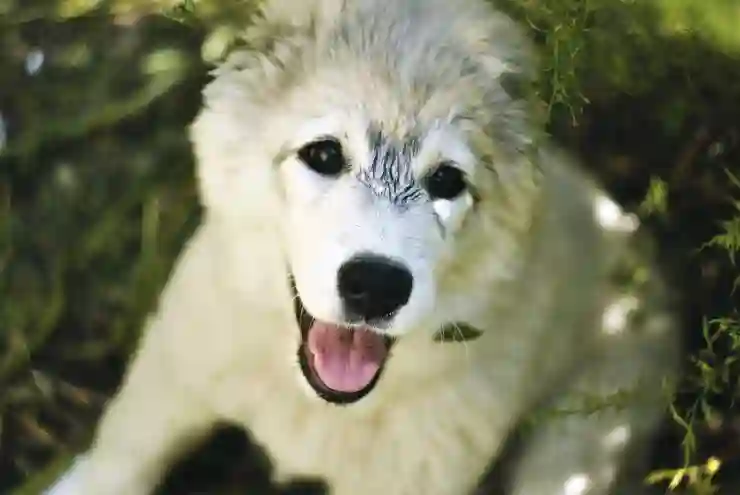 텔레그램 탈퇴방법 계정 삭제 알려드림