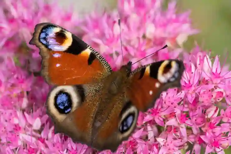 아이폰 iOS 17.6.1 업데이트 배터리 광탈 발열 어때?