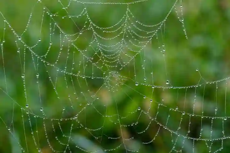 web 3.0 시대의 도래