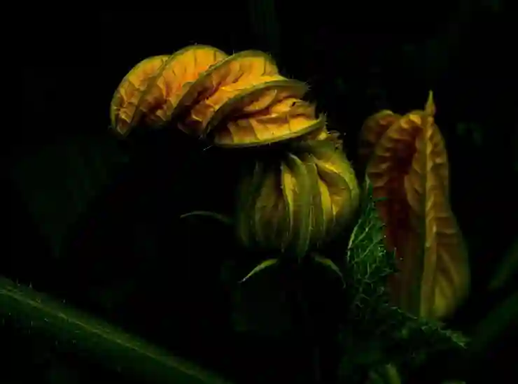 기업 홈페이지 제작 업체 비용 현명하게 고르기