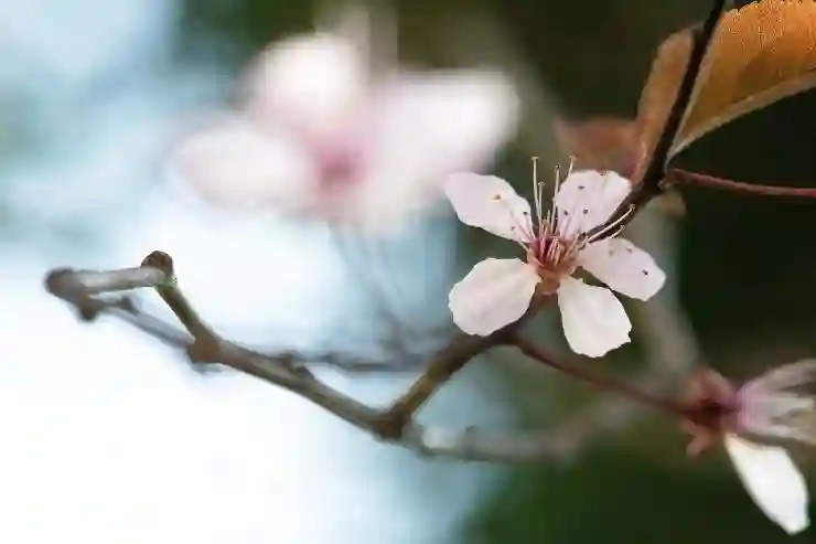 대구삼성라이온즈파크에서 만나는 봄의 아름다움 살펴보기