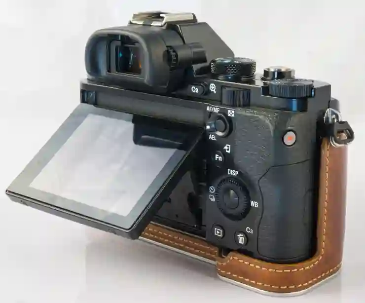 소니 NEX-5R로 촬영하는 매력적인 순간들 탐험하기