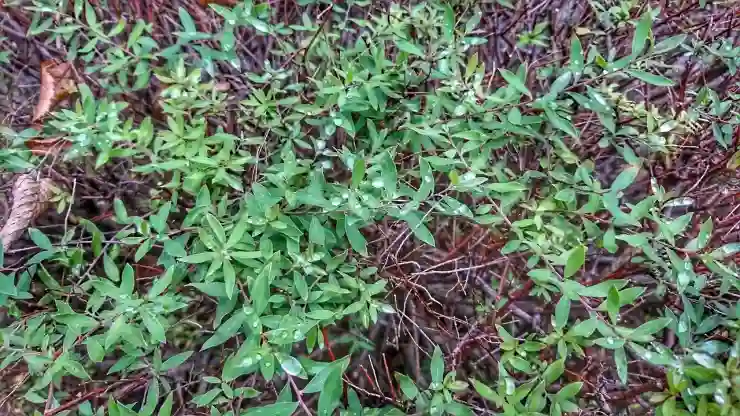 스카이폴더폰 IM-F100의 매력을 파헤쳐보자!