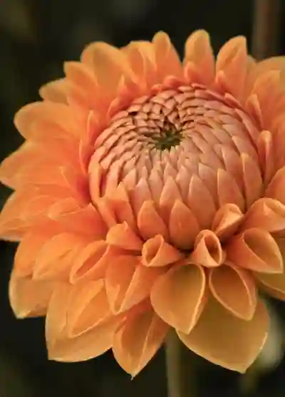 갤럭시 핸드폰에서 움직이는 배경화면으로 잠금화면 꾸미기 꿀팁!