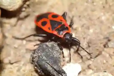 안전하고 시원한 여름을 위한 날개 없는 타워형 선풍기 추천!