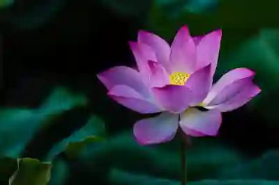 클로바노트로 음성녹음부터 TTS 변환까지 쉽게 활용하는 법 알아보기