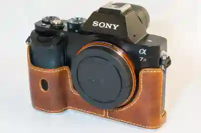 니콘 Z9으로 촬영하는 프로의 비밀과 기능 탐구