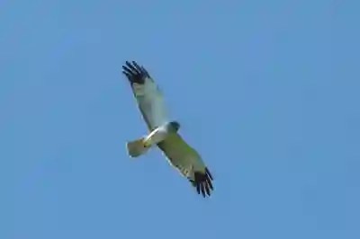 대구삼성라이온즈파크에서의 직관 완벽 가이드