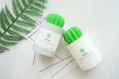 대용량 복합식 가습기로 집안 습도 관리하는 스마트한 팁