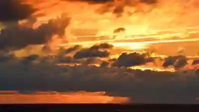 샤오미 웨어러블 기기 비교 분석: 미밴드2부터 홍미밴드까지 알아보기