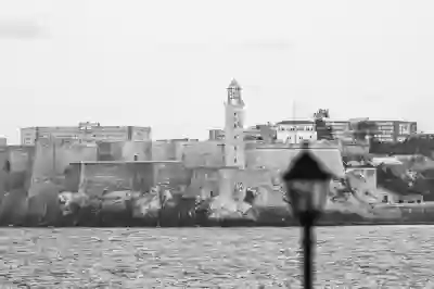 소니 24-105 렌즈로 완벽한 사진 찍는 법 알아보기