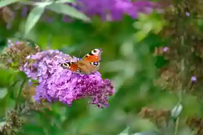 아이폰을 더 스마트하게! iOS 17.1.1 업데이트 주요 기능 살펴보기