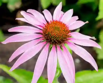 EOS 60D로 촬영한 특별한 순간들 알아보기