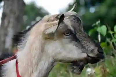 코딩의 혁신, 주피터 노트북을 활용한 데이터 과학의 세계 탐험하기