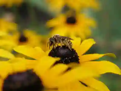 콩나물 재배의 신세계, 자이글 ZC-A1001 완벽 활용법!