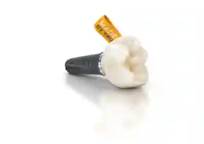 티스토리 블로그 쉽게 시작하는 법과 꿀팁 모음