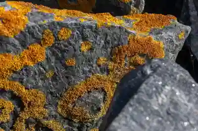 휴대용 4K 서브 터치 모니터 캐리뷰 V1UPG의 모든 매력 살펴보기