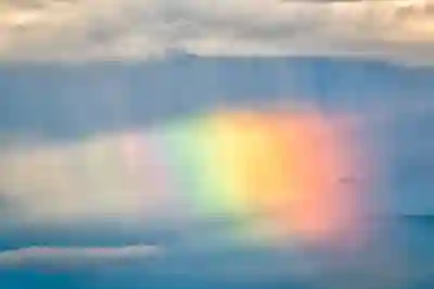 흑백필름 현상과 인화의 세계 탐험하기