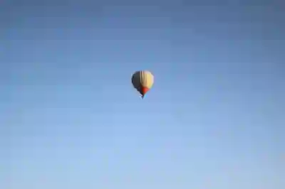 대구삼성라이온즈파크 시구 체험 신청 방법 알아보자