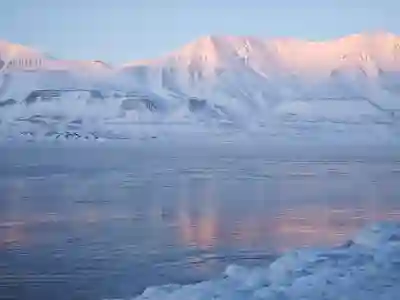아이패드 감성 배경화면 지브리 다운로드 꿀팁