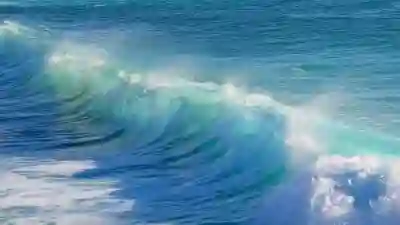 웨이브 요금제 41% 할인 연말 이용권 추천