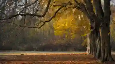 크레마S와 크레마사운드 비교를 통한 선택 가이드