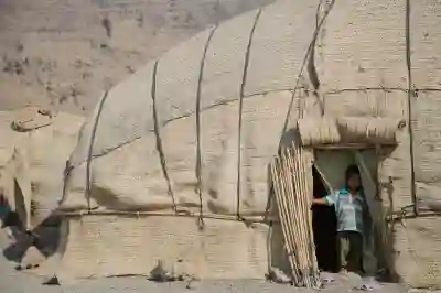 캐논 40D부터 90D까지 DSLR 카메라 비교해보자