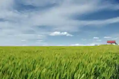 황유민의 경기장 리더십 순간 살펴보기